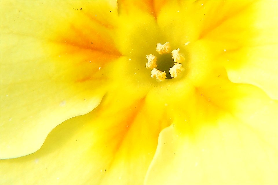 2023_03_06_2119_2