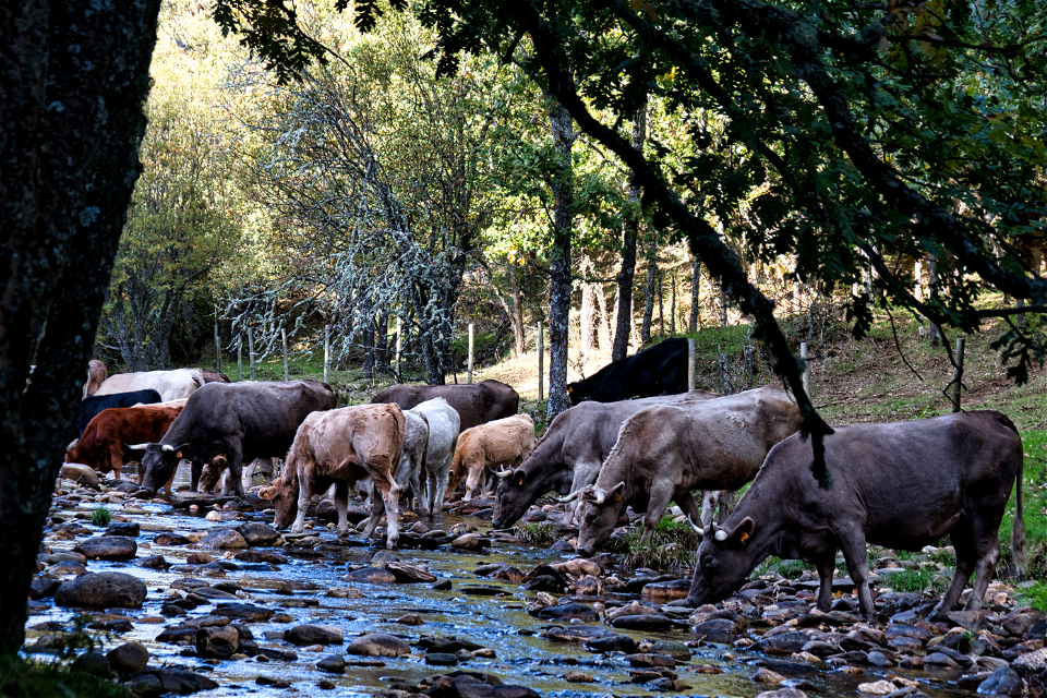 La Sierra del Rincón photo