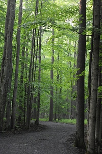 Sand Run Lake Trail West Virginia