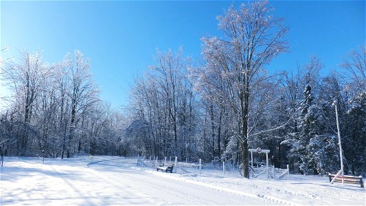 Potager en hiver, arbres verglacés