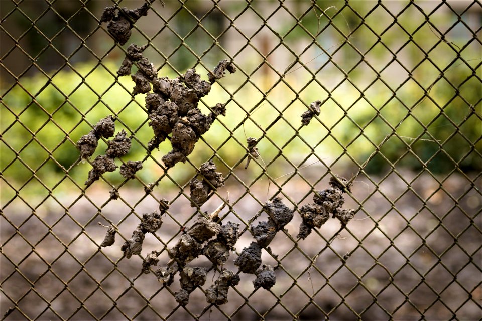 Mesh fence