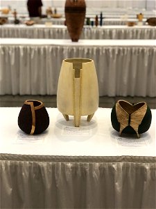 AAW 2022 Woodturners Symposium