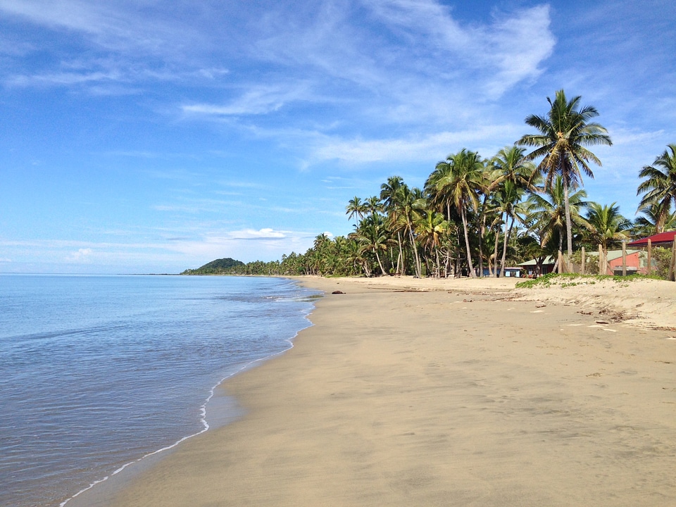 Palm trees over stunning lagoon and white sandy beach