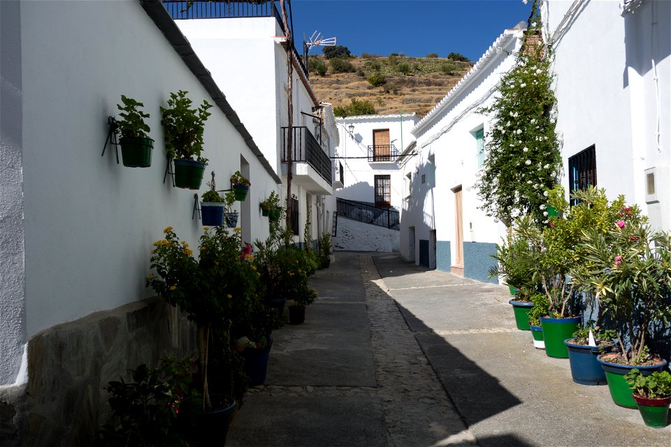 20140904_Canar_0002.jpg