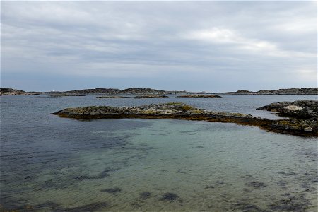 IMG_8764