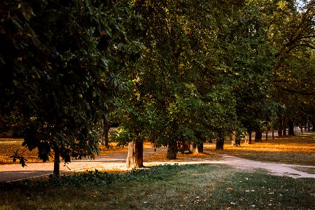 Herbstpark photo