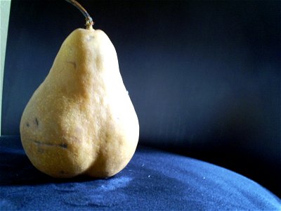 Pear Study - S4030097
