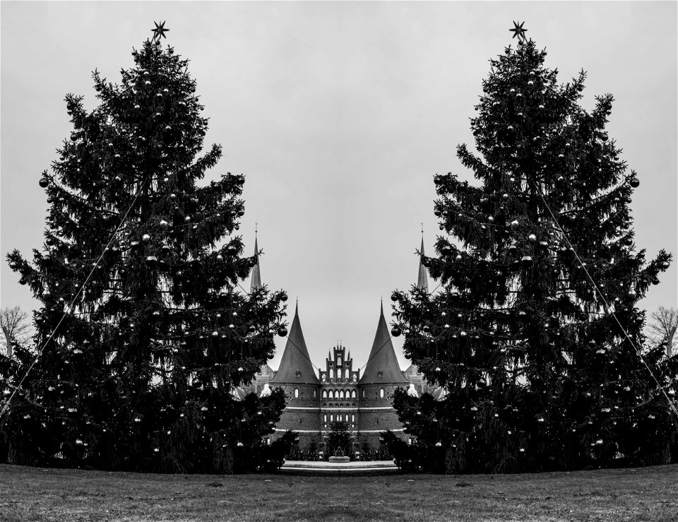 Holstentor mit zwei Kotka-Tannen