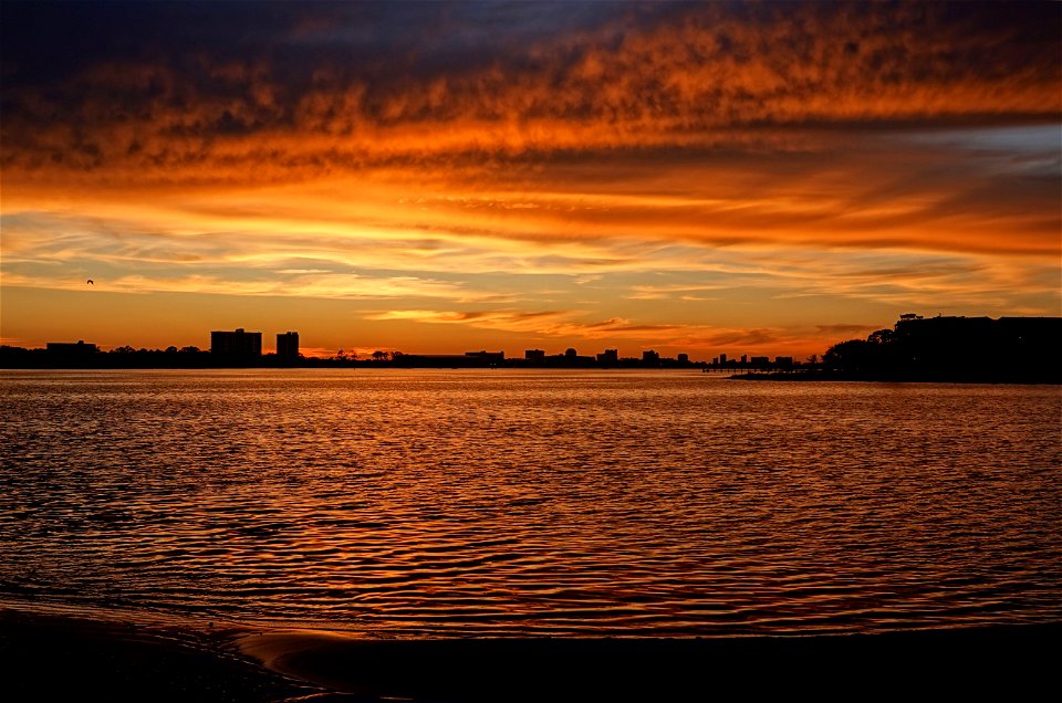 Skyline at Water's edge