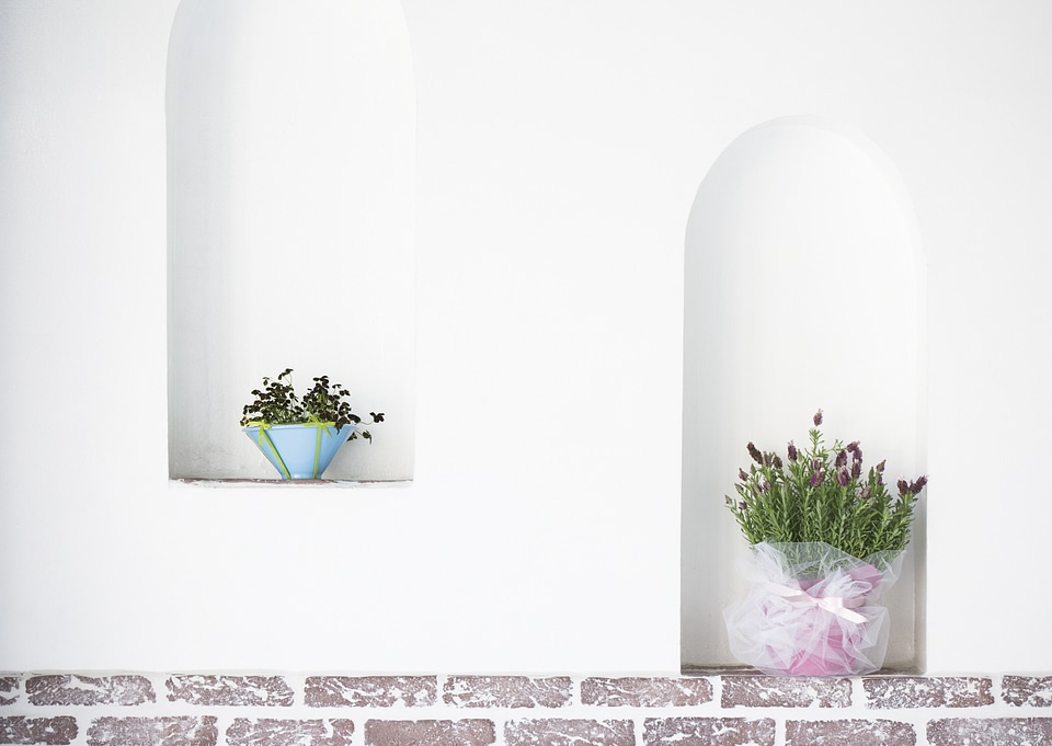 Interior design with plant, decorative cage and watering pot