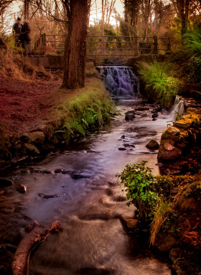 Stricklands Glen - Bangor