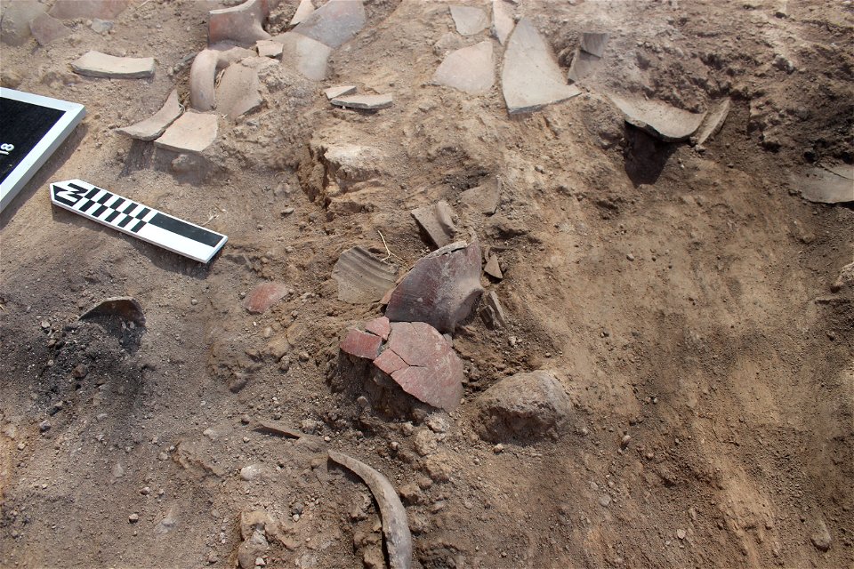 Pottery sherds in-situ