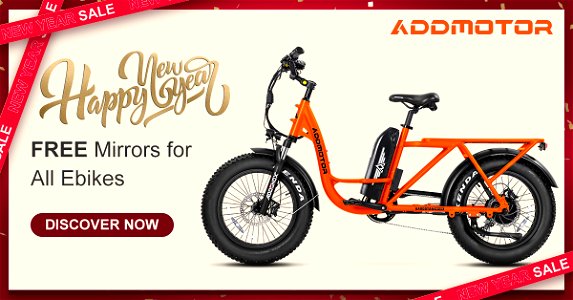 Cargo electric bike