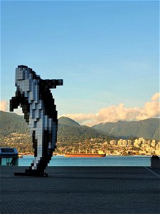 Digital Orca Vancouver photo