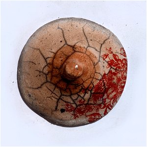 PXL_20221128_065337114