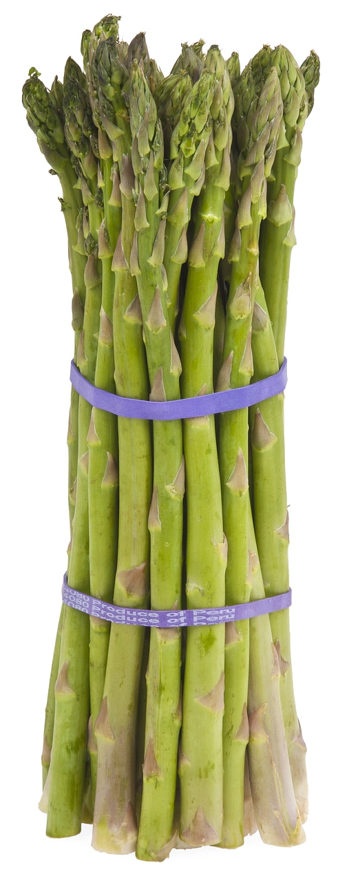 fresh asparagus isolated on white