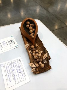 AAW 2022 Woodturners Symposium