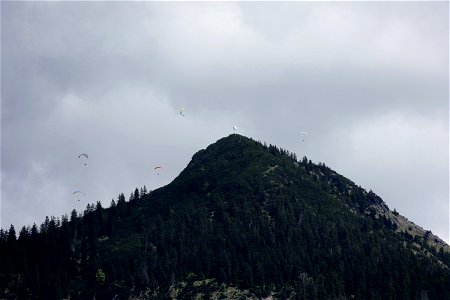 IMG_7133