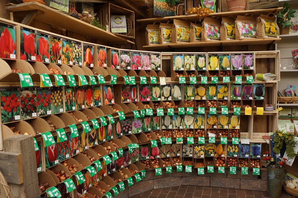 packed seeds at store for gardener