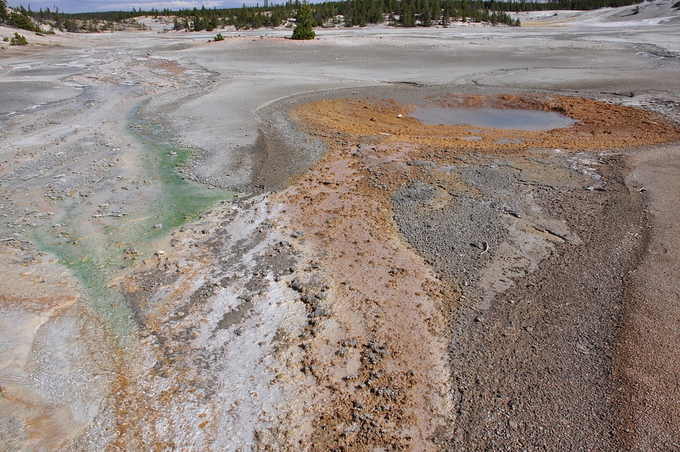 Thermal Field at Yellow Stone National Park