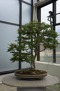 Pot Planting