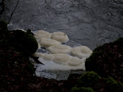 Entlang der Pegnitz Bahnstrecke Nürnberg Cheb photo