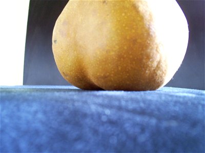 Pear Study - S4030080
