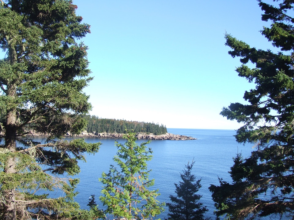 Precipice Trail Acadia National Park Hike