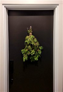 Hanging evergreen bouquet wreath photo