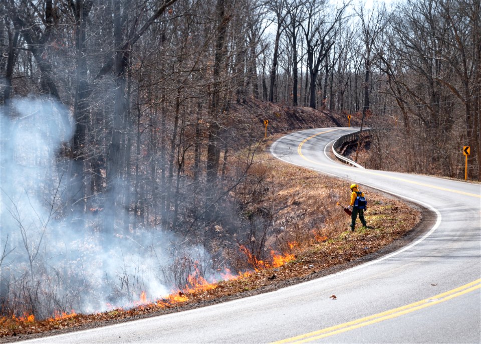 Using a Road as a Fire Line
