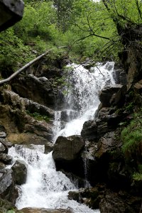 IMG_7067
