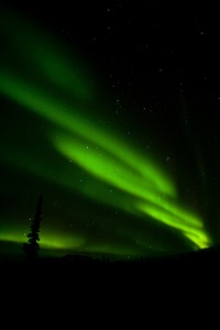 A large aurora display
