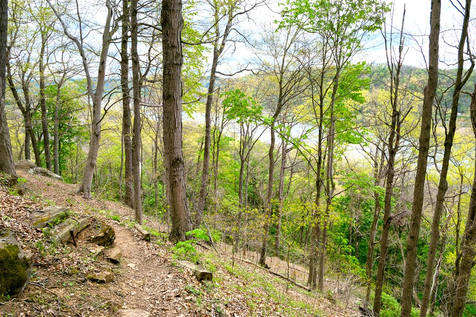 Scenic River Trail