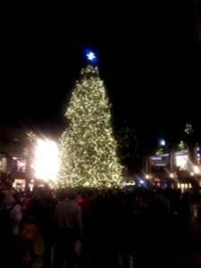 Christmas Tree at Faneuil Hall