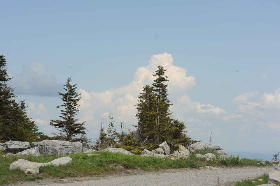 Dolly Sods North: Bear Rocks Trail Loop