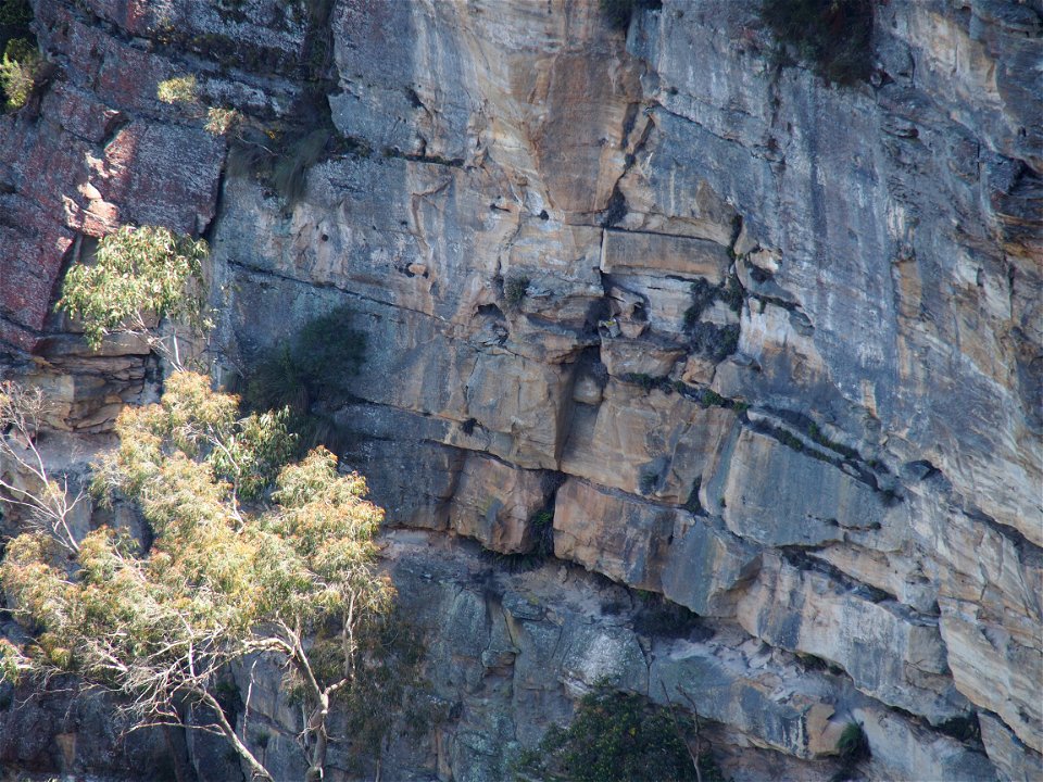 Rocky Escarpment