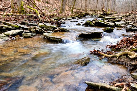 Coldwater Stream in the Wayne National Forest photo