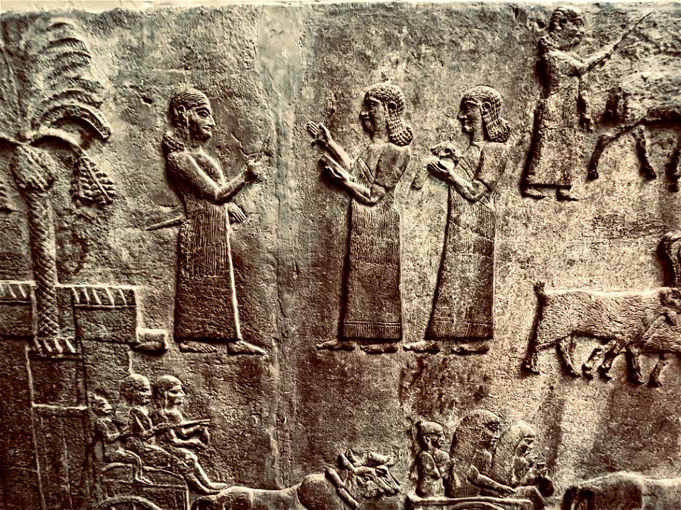 BM_2022_TP_Scribes_relief-2A