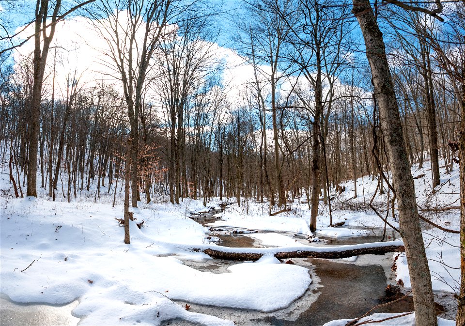 Snowy Scene in a Hollow photo