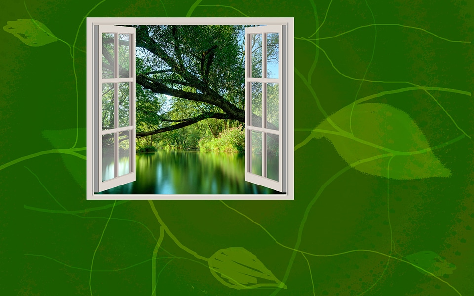 Window close up for green background