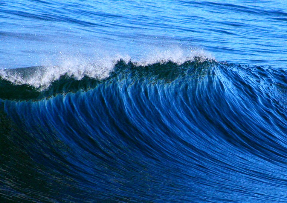 Winter Blue--Venice Beach photo