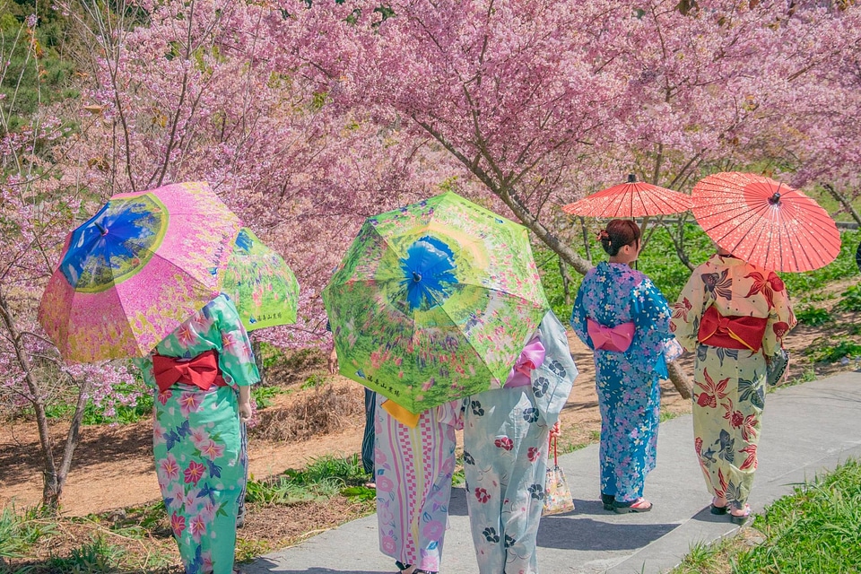 Young women wearing traditional Japanese Kimono
