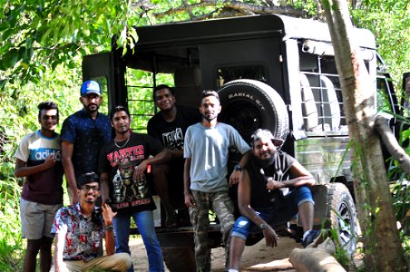 wild safari
