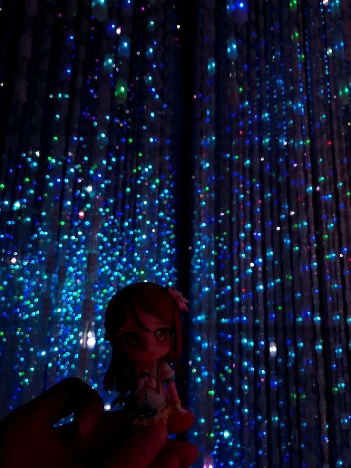 teamLab Borderless