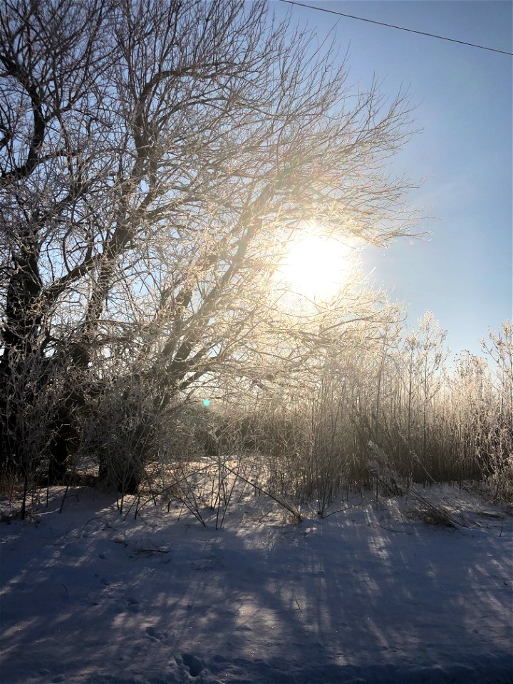 ice