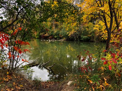 Walking by the Mohawk Lake, Brantford, Canada