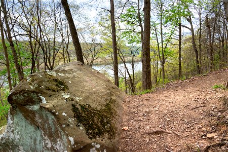 View of the Ohio River from the Scenic River Trail photo