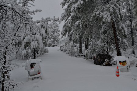 Long Snowy Road (2)