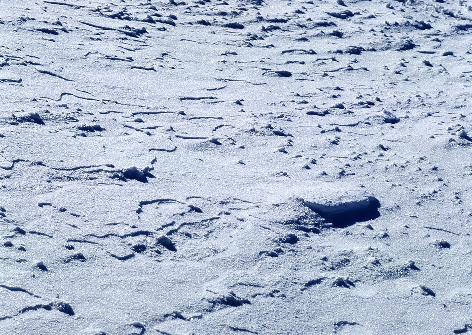 Snow texture for the background