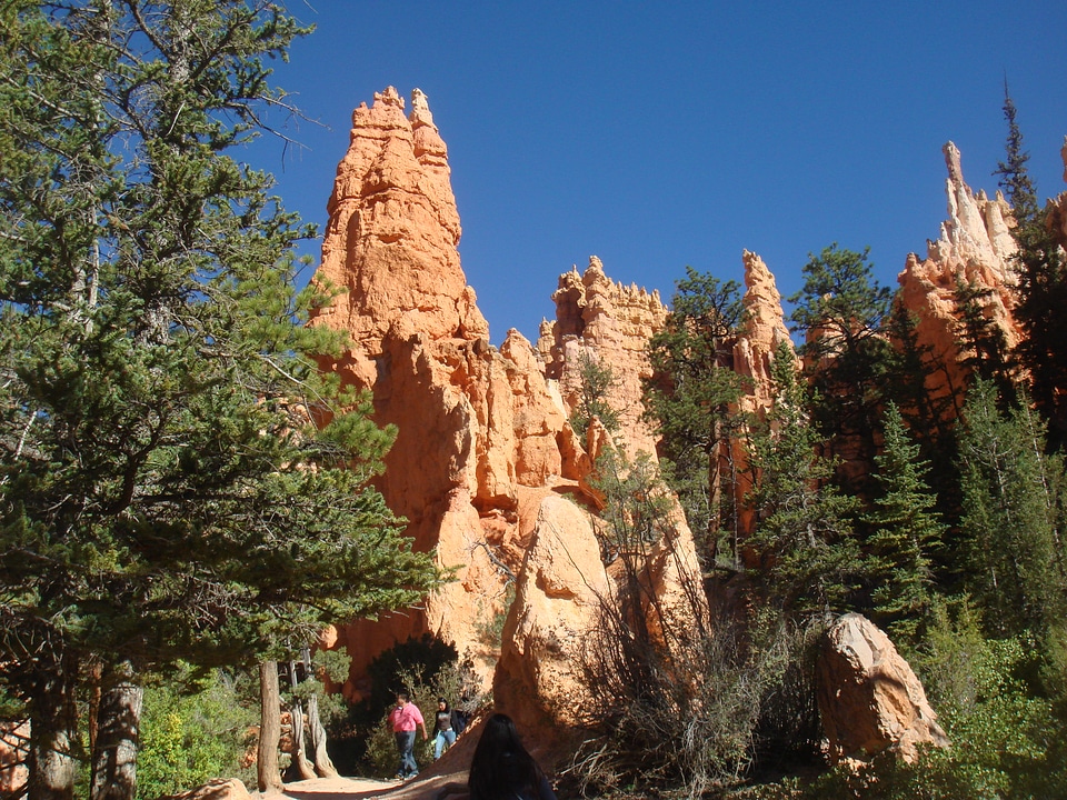 Hoodos of Queens Stone Garden, Bryce Canyon National Park, Utah photo